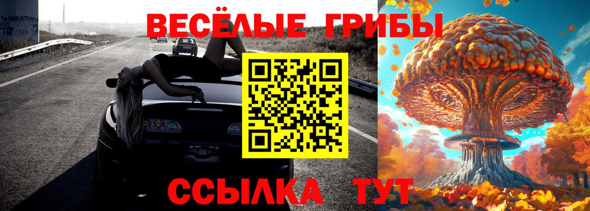 Псилоцибиновые грибы Magic Shrooms  Вход с VPN  Пугачёв  Псилоцибиновые грибы MAGIC MUSHROOMS 