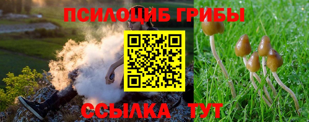 Псилоцибиновые грибы прущие грибы Пугачёв